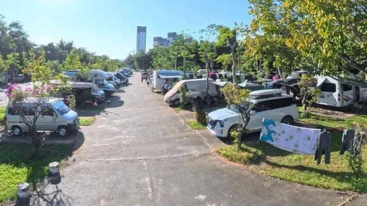 管理：不得在公共绿地生火做饭、晾晒衣物不