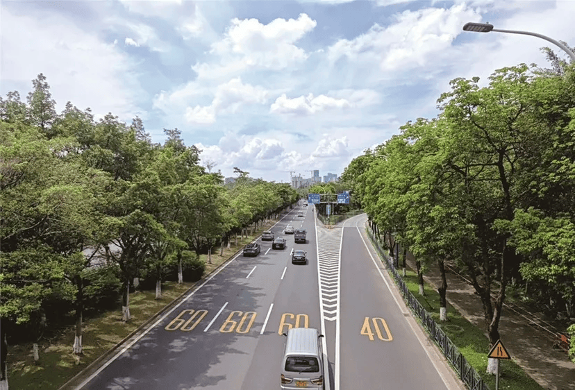 生活落地番禺房车旅行仪式感拉满不朽情缘电子游戏网址综艺同款